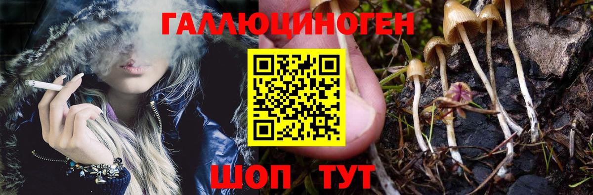 Галлюциногенные грибы Cubensis  Вход с VPN  Псилоцибиновые грибы GOLDEN TEACHER  Истра 