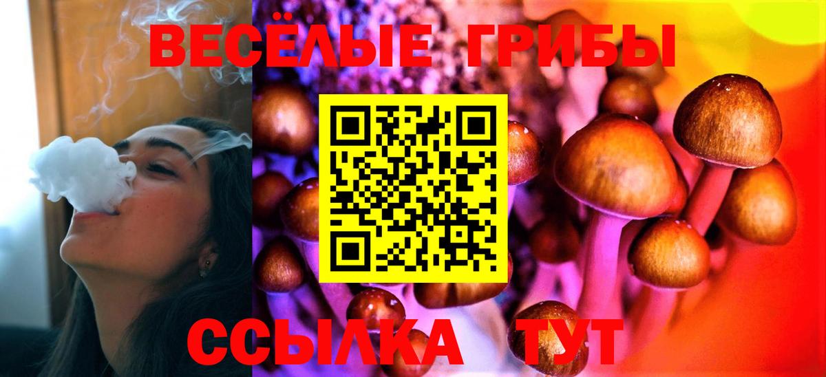Галлюциногенные грибы GOLDEN TEACHER Истра