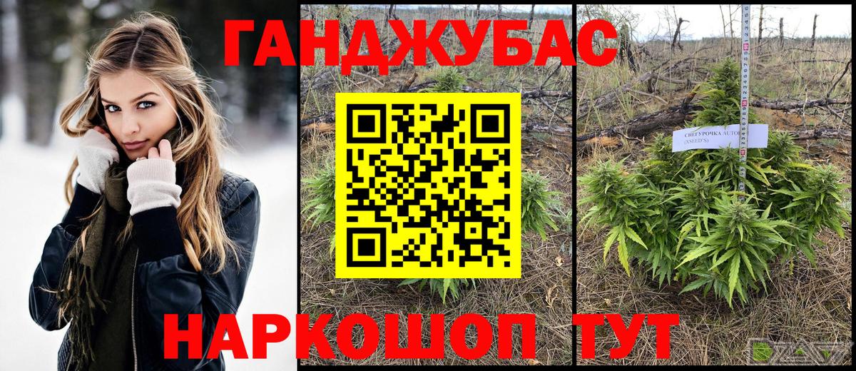 Бошки Шишки White Widow  Каннабис THC 21%  Истра  Вход с VPN 
